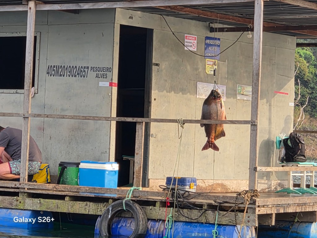 Tablado T2 com Balança e Peixe