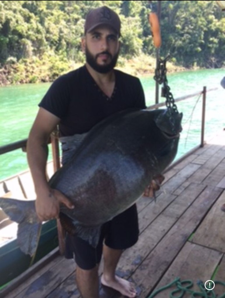Caranha na Balança com Pescador